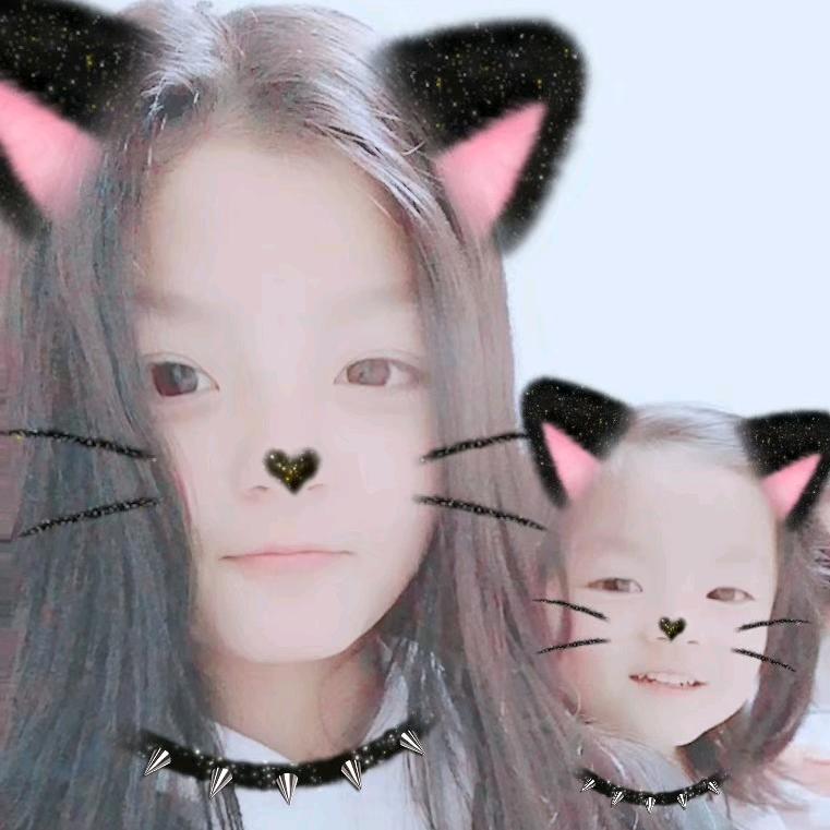 凌蝶