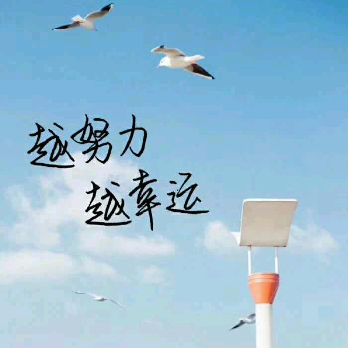 梦珊