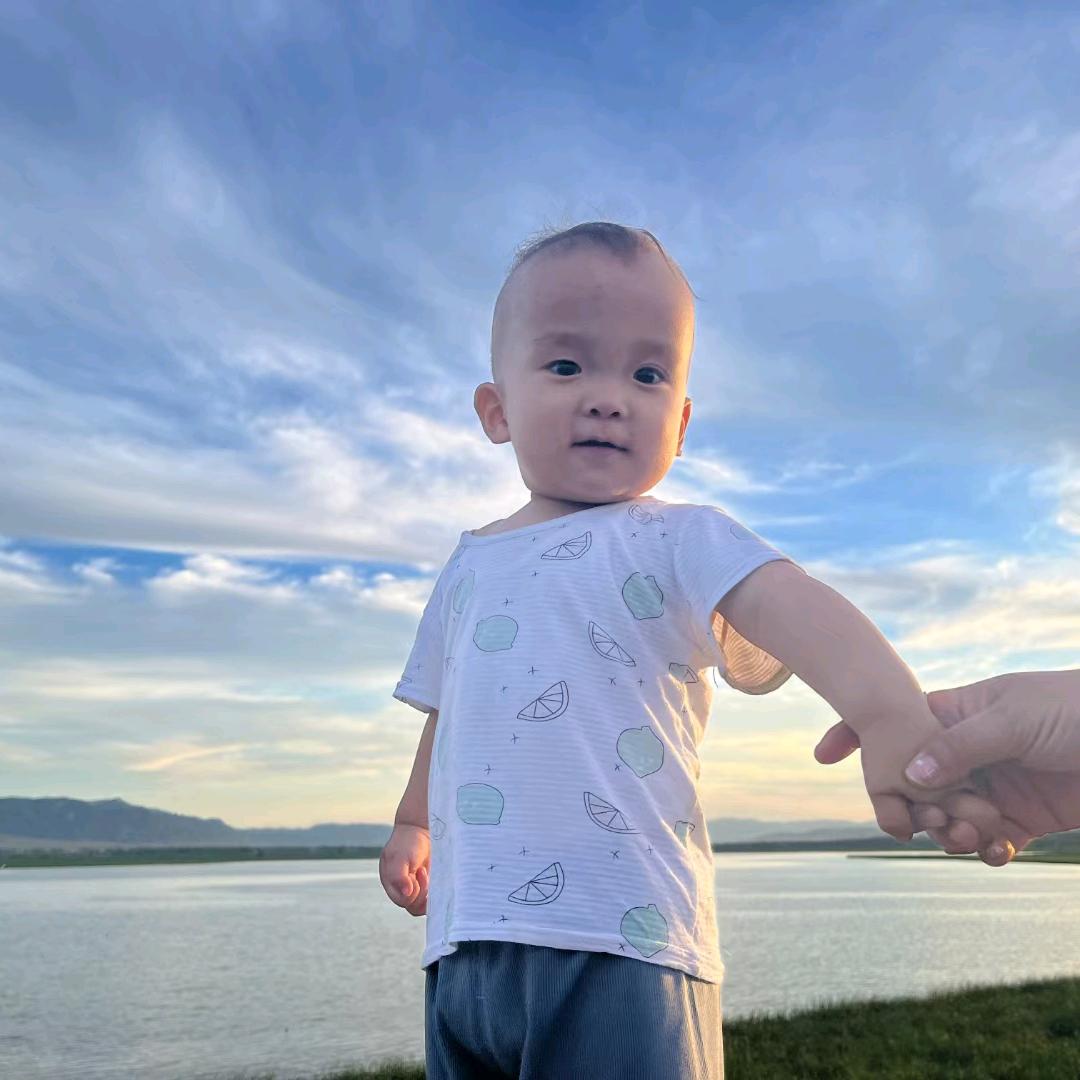 。A  湖胡 