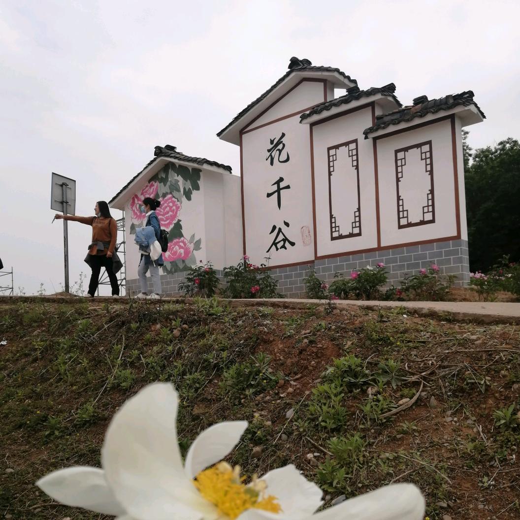 杠一一一一杠