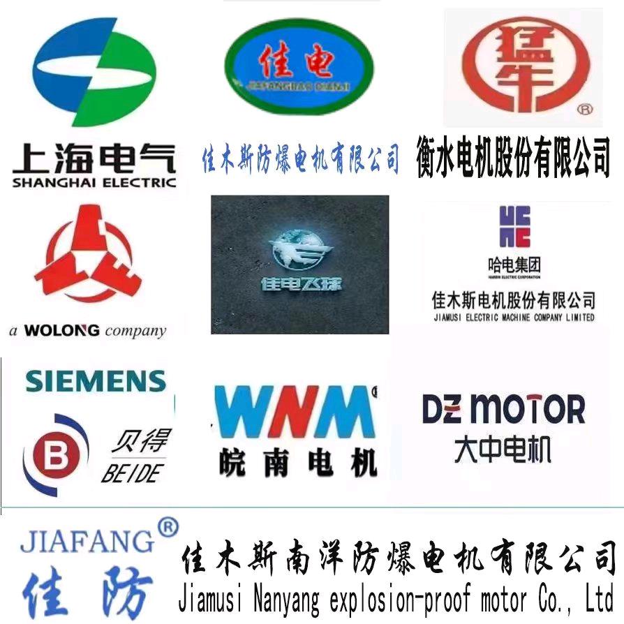 专业电机销售