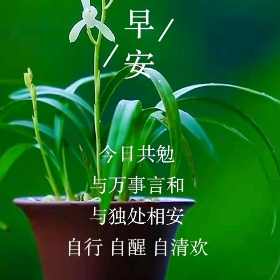 小麻雀智慧超市