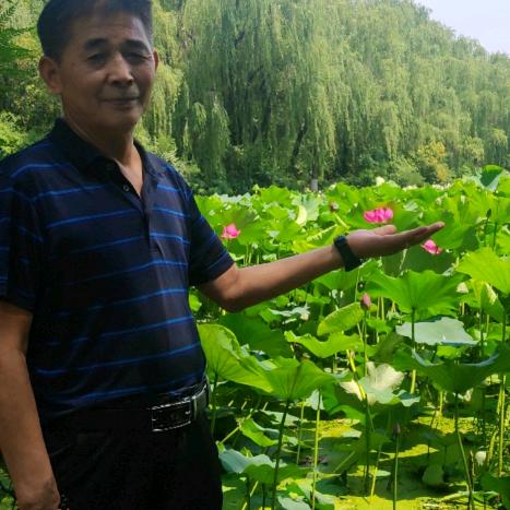 河边青青草