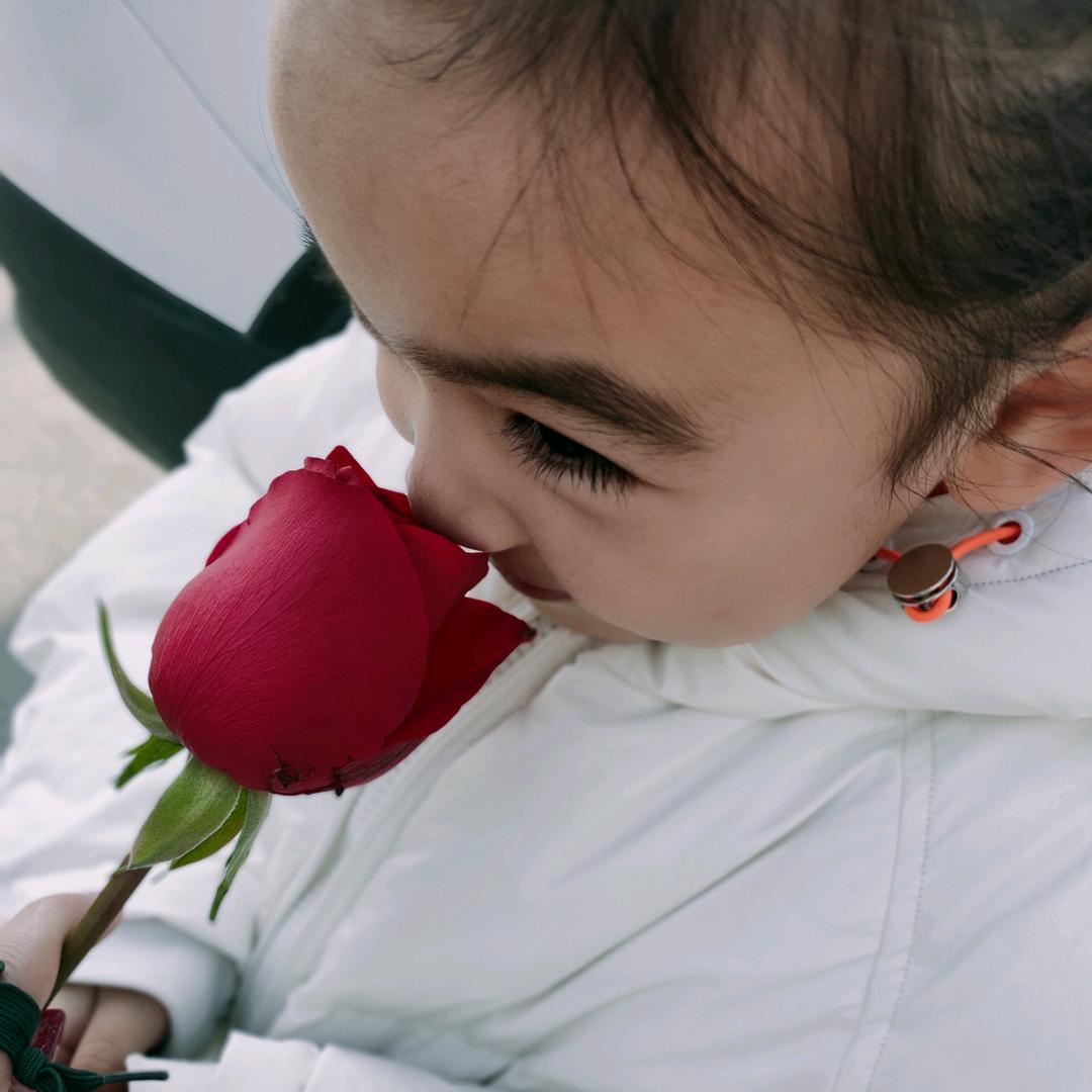 八月桂花💐