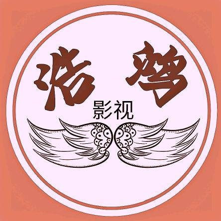 浩鸿影视