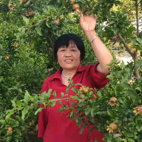 王二姐爱唱歌🎤