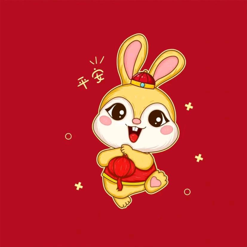 一只热爱音乐的兔子🐰