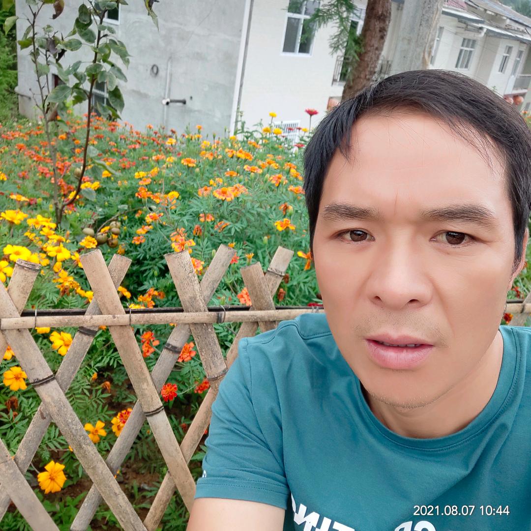 楂树坪龙哥大小轮胎专买