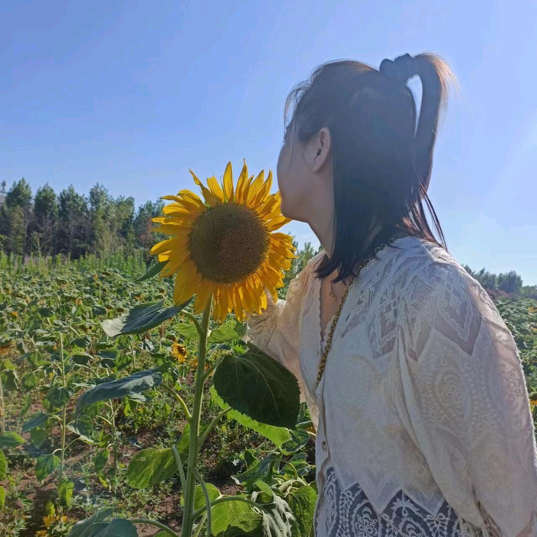 南通地锅鸡（小毛）