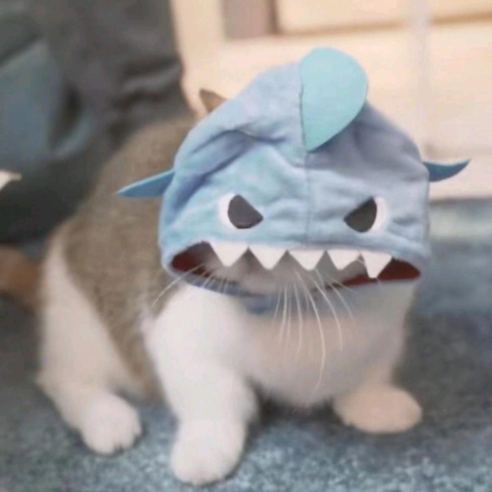 逆风局局长