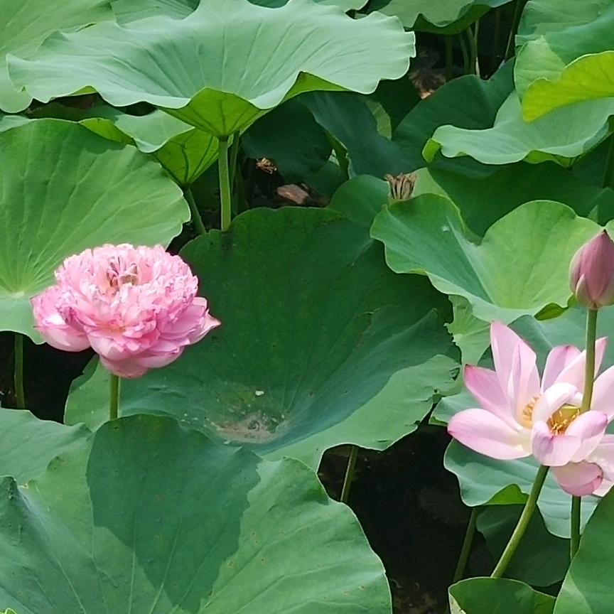 风雨彩虹