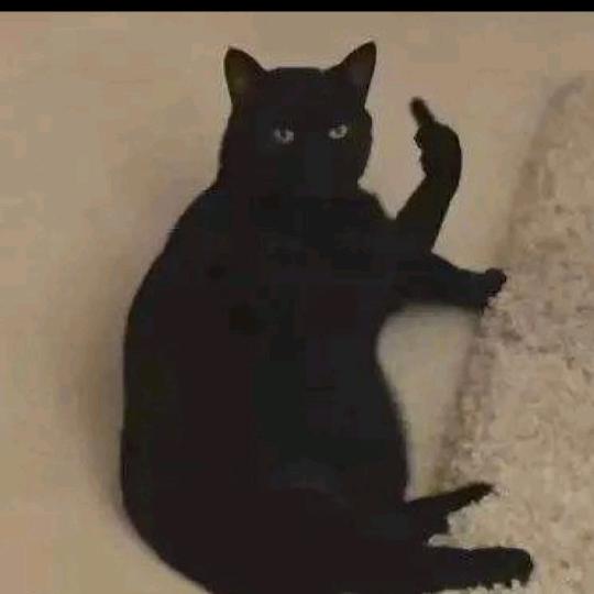 看鱼🐟