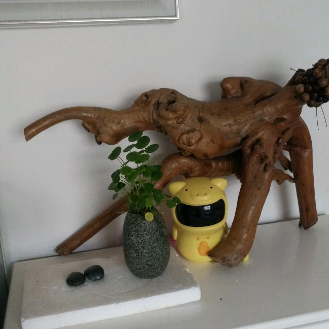 贾鲁草堂