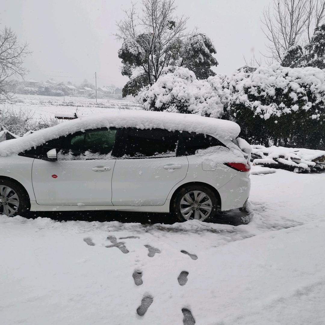 為妳付出这么的多