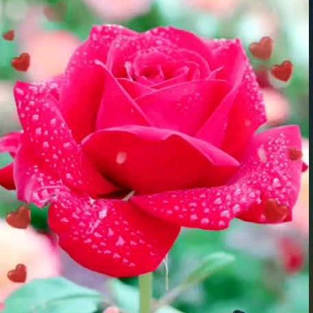 ！╭( ′• o •′ )╭☞就是这个人