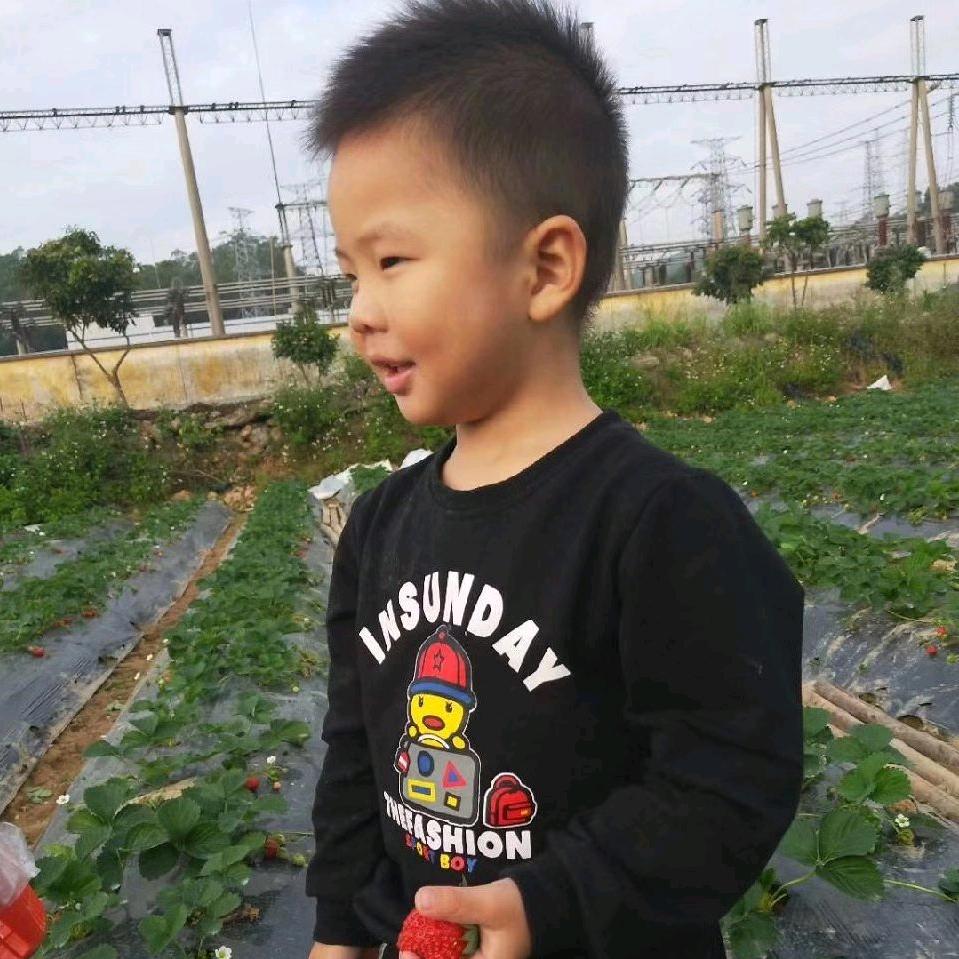 像风一样自由：
