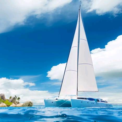 一个人E杯酒🍷