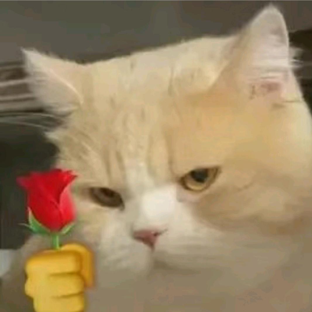 哦吼小君