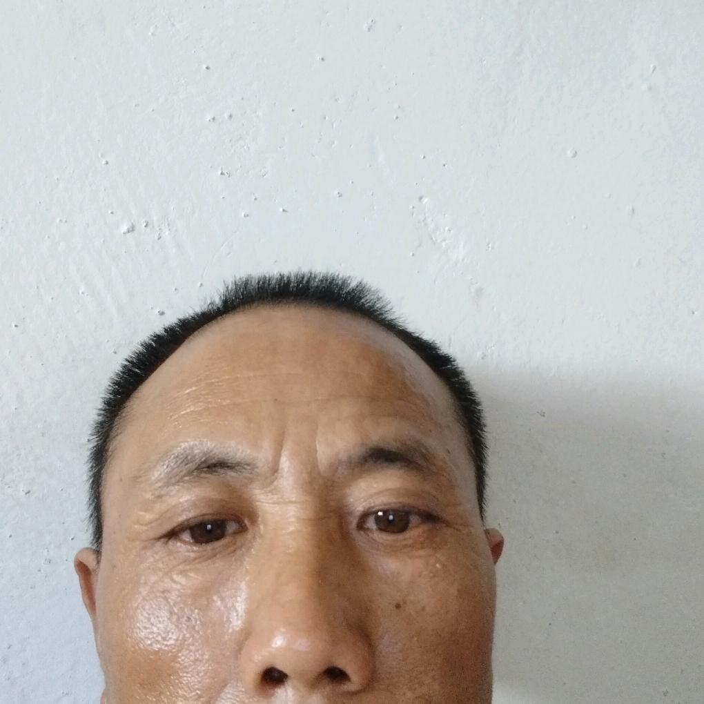何大爷