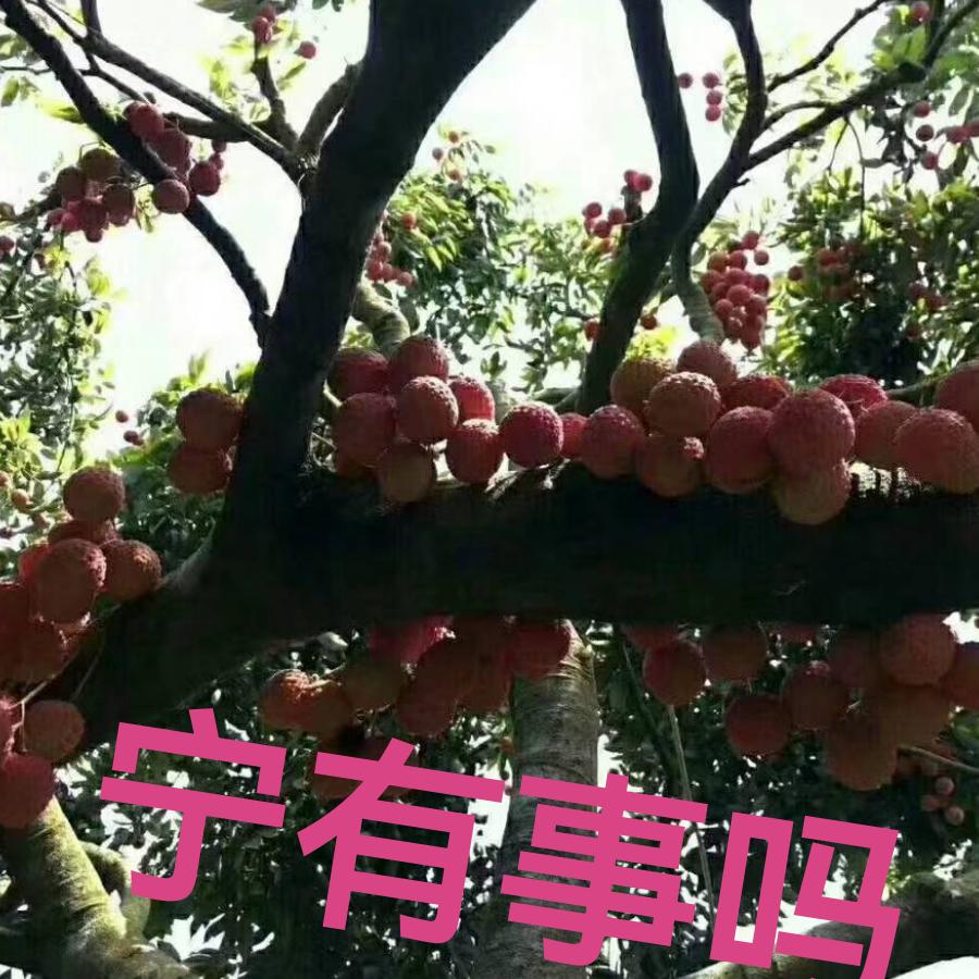 宁小五