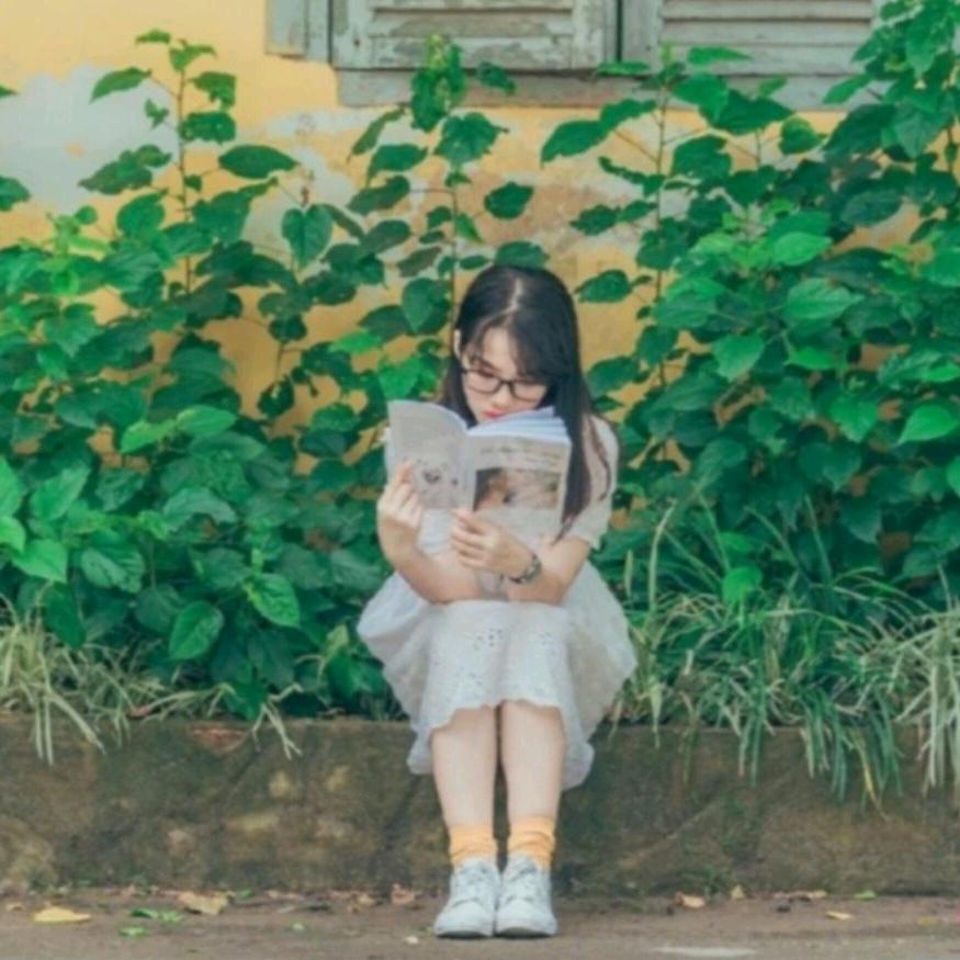 🌹️新之宇🌹️