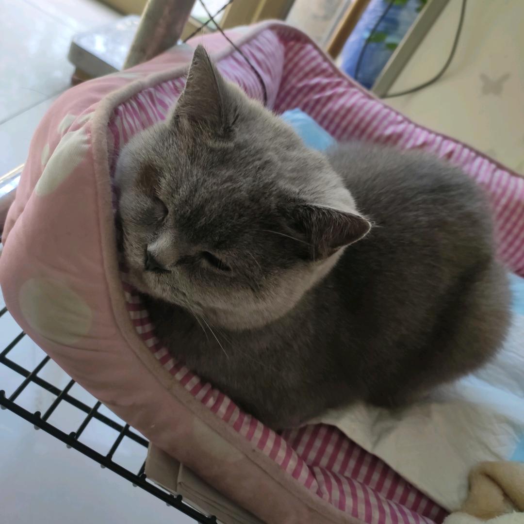 永不言弃