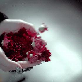 简单生活简单过