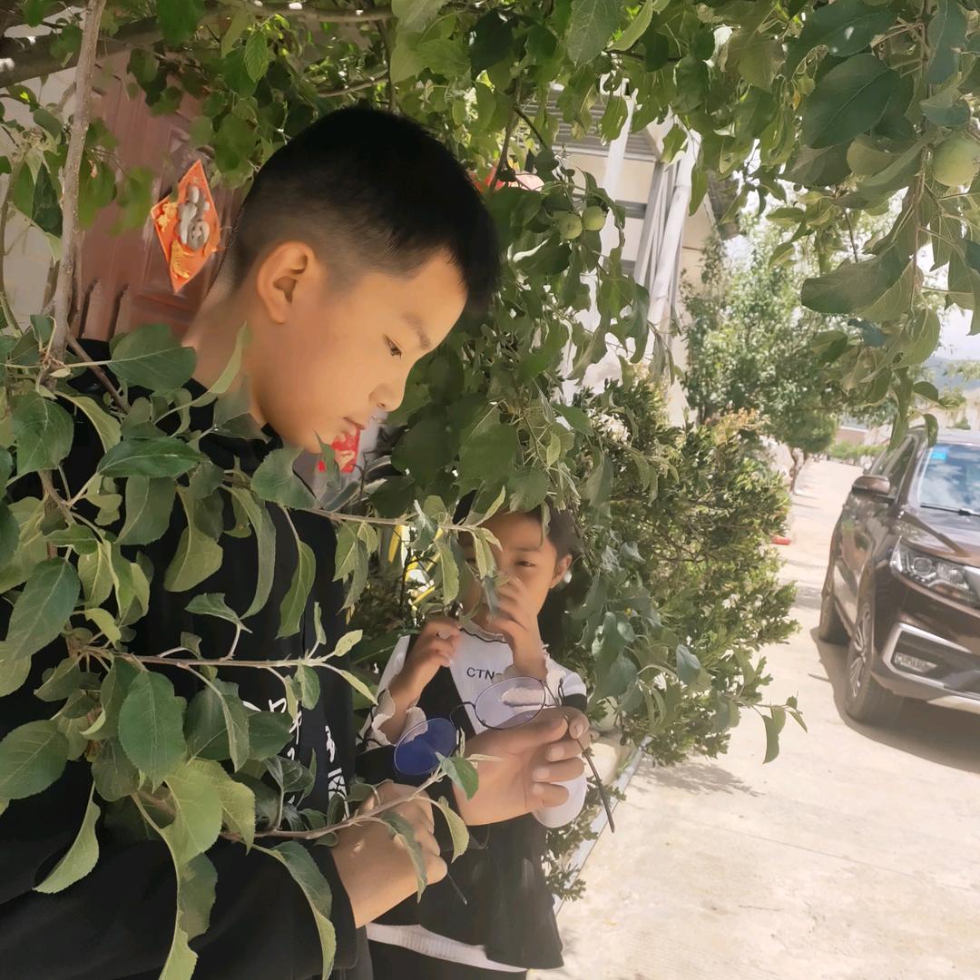 只求一份安定