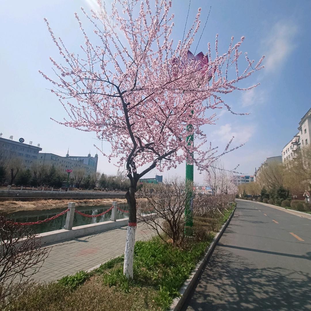 珲春房产花姐现金收房