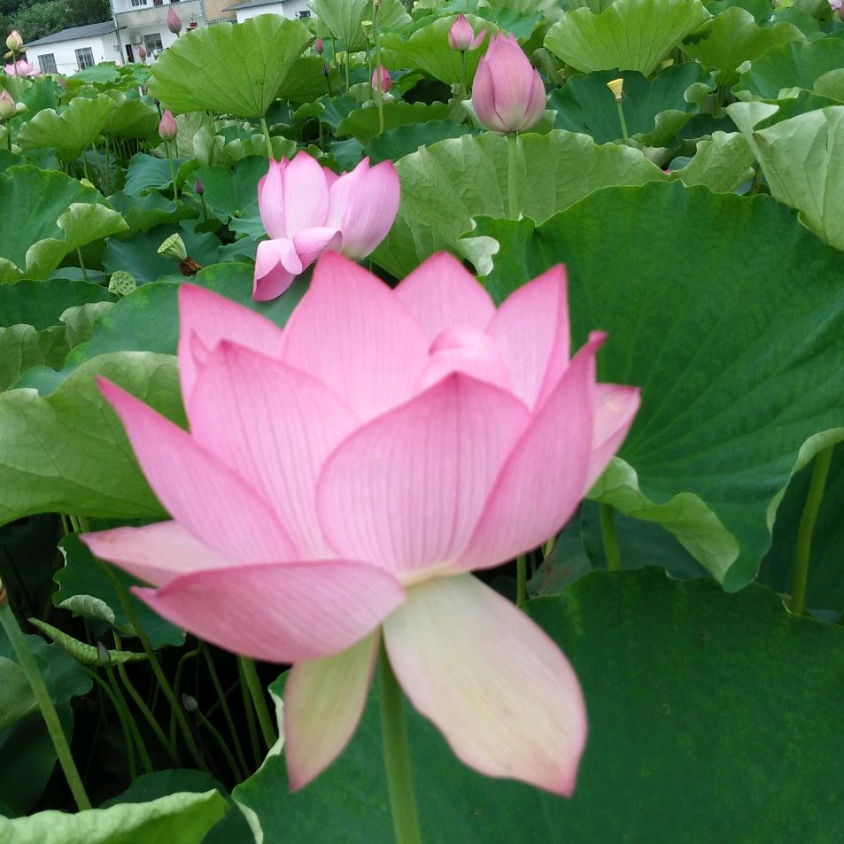 有缘千里来相聚