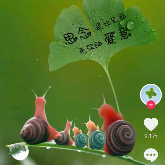千年↑上上签