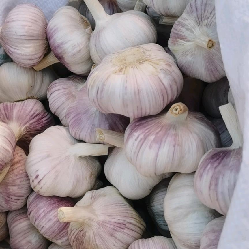 🔥烟酒🌿疗伤🚬