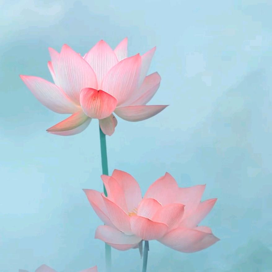 云清