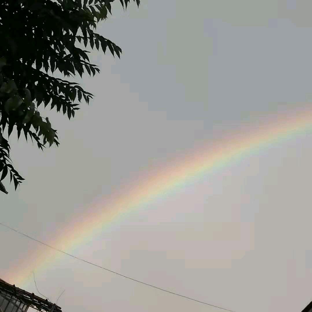 一顿能炫八个汉堡