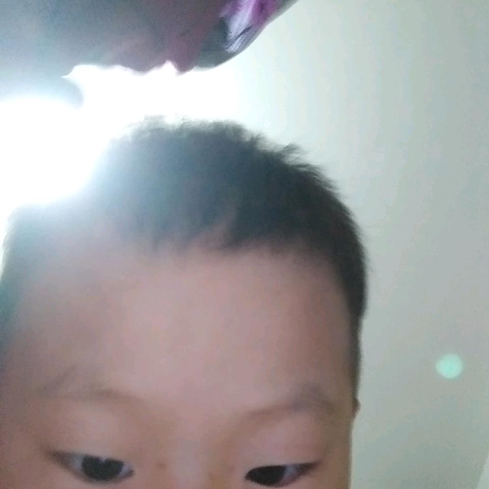 黄树木