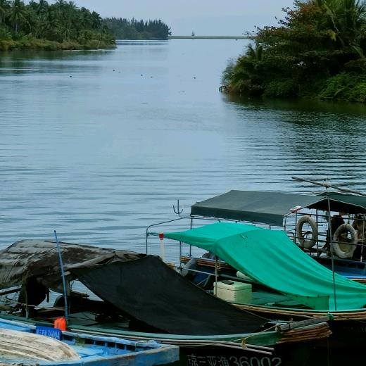 🐶᭄寂🐼᭄寞🧐᭄重😜᭄来