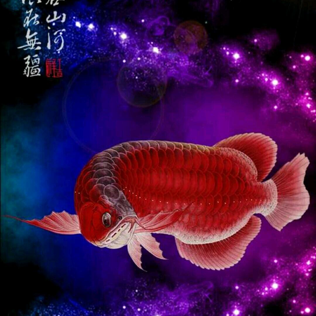 爱婴水族