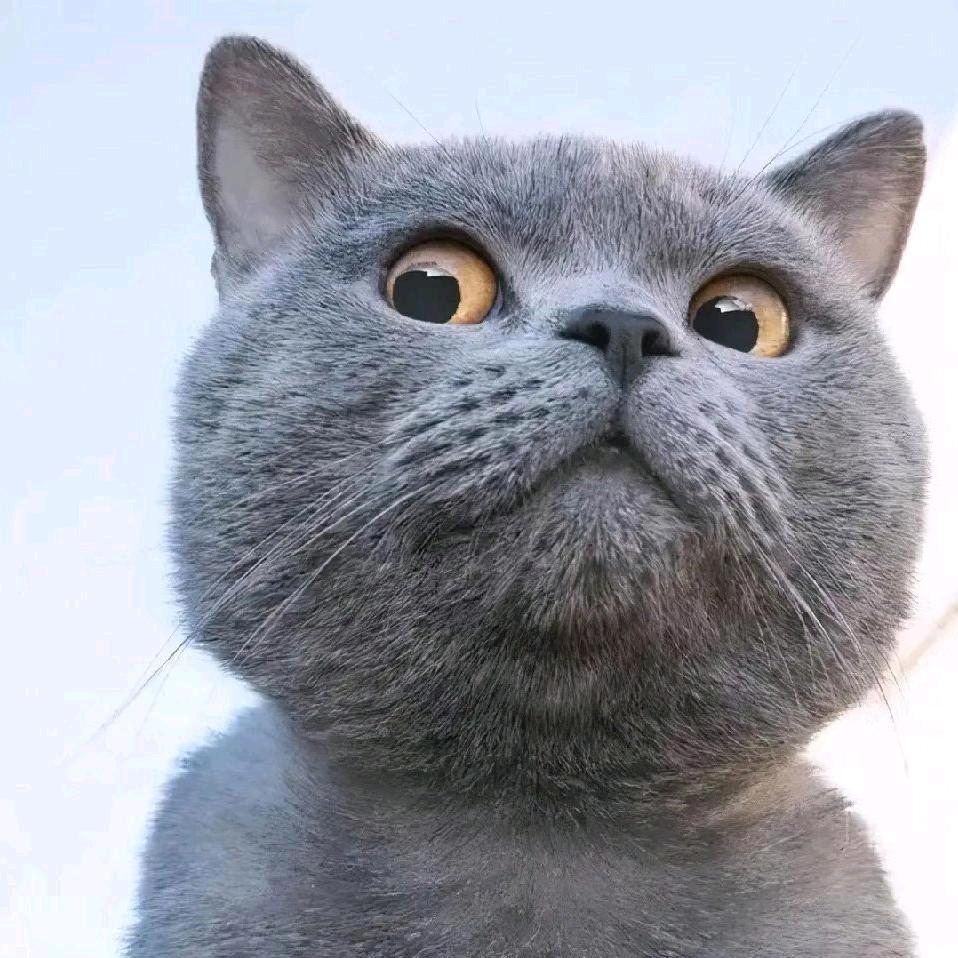 一一