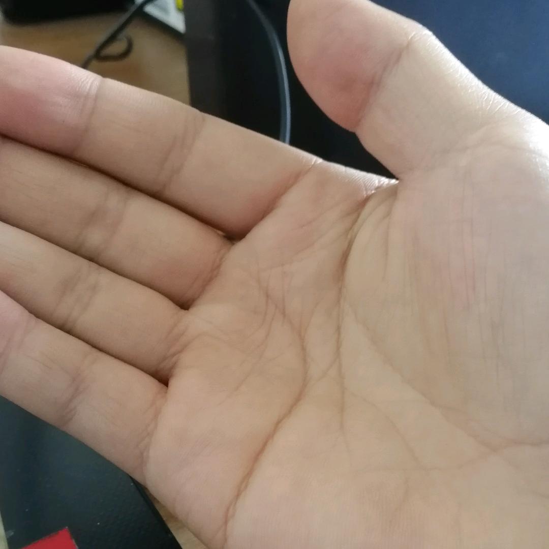 飞向蓝天的白银灰