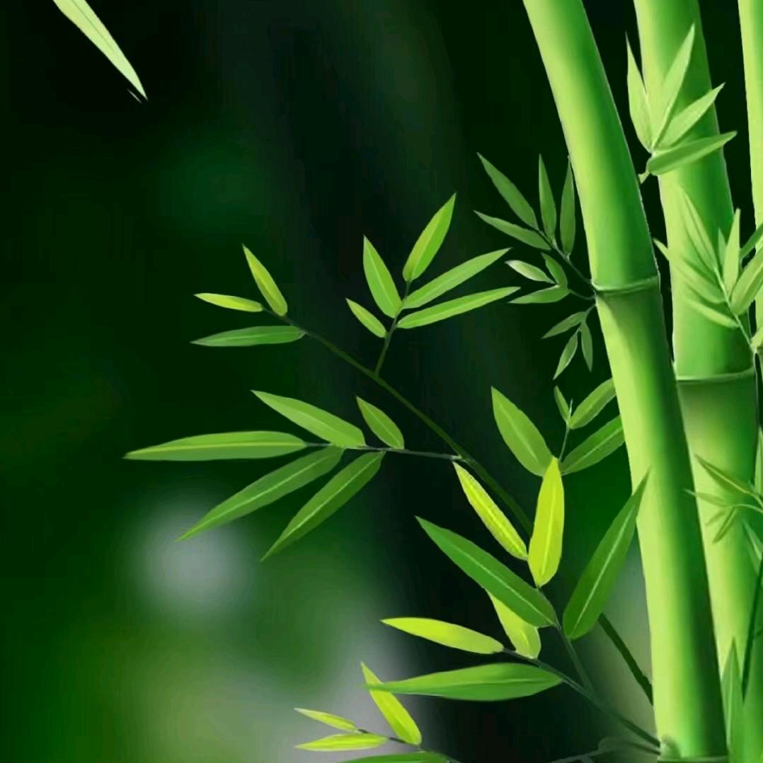 人生就像一场修行