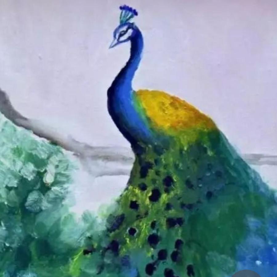 江山如画，衣为景