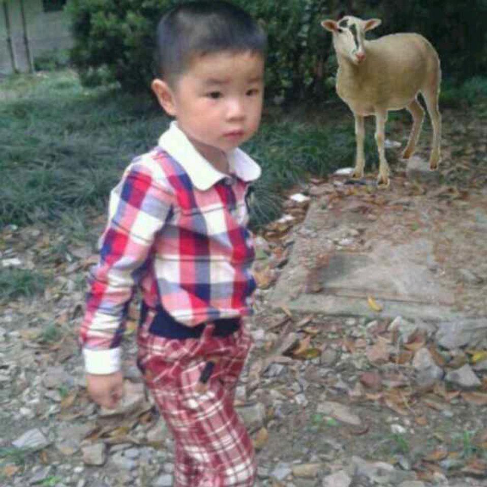 微乐王小二