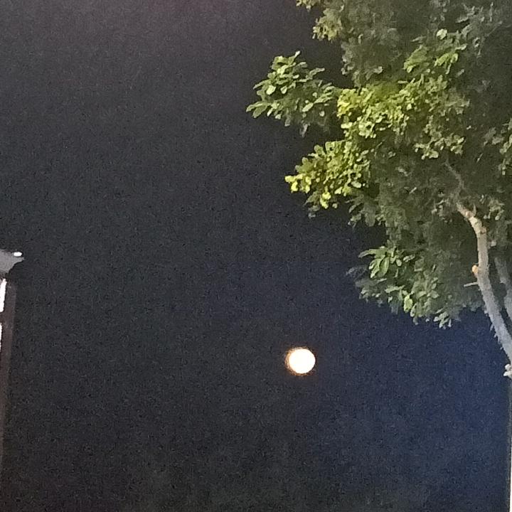 风月霄晽庆夕