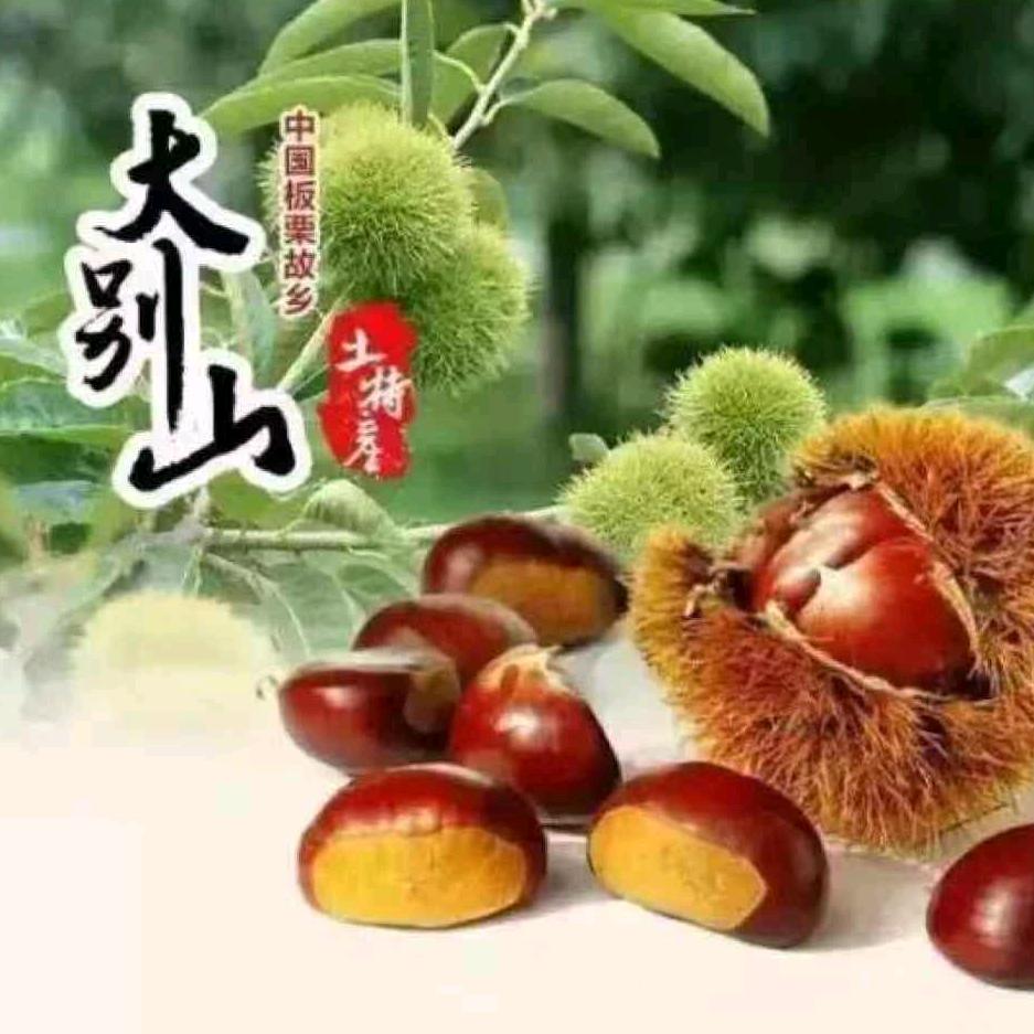 超越梦想哥