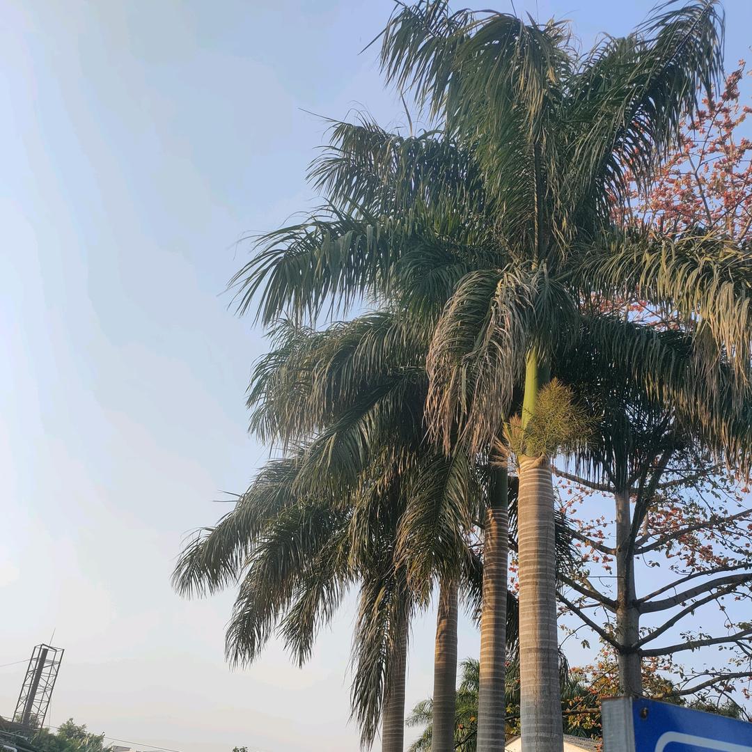 奋斗的80后