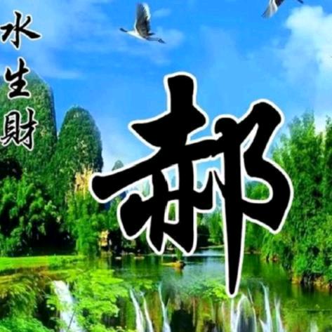 宽哥