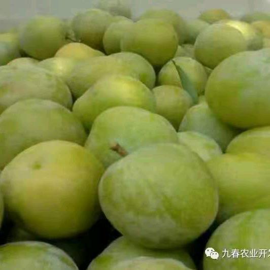 迟到