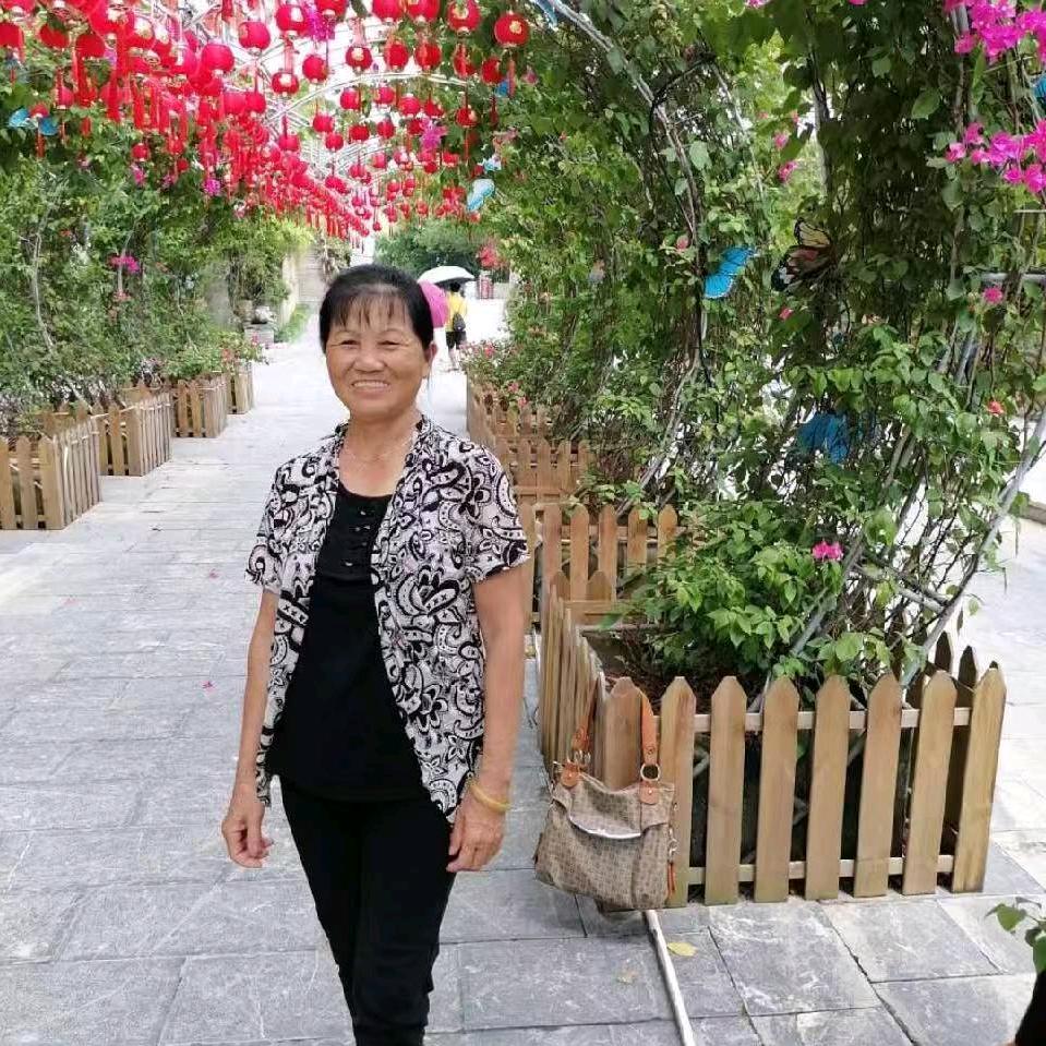 凤凤
