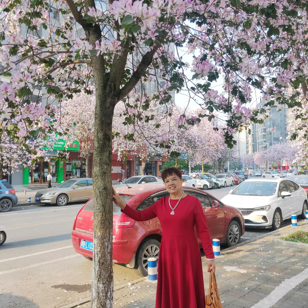 我是燕子