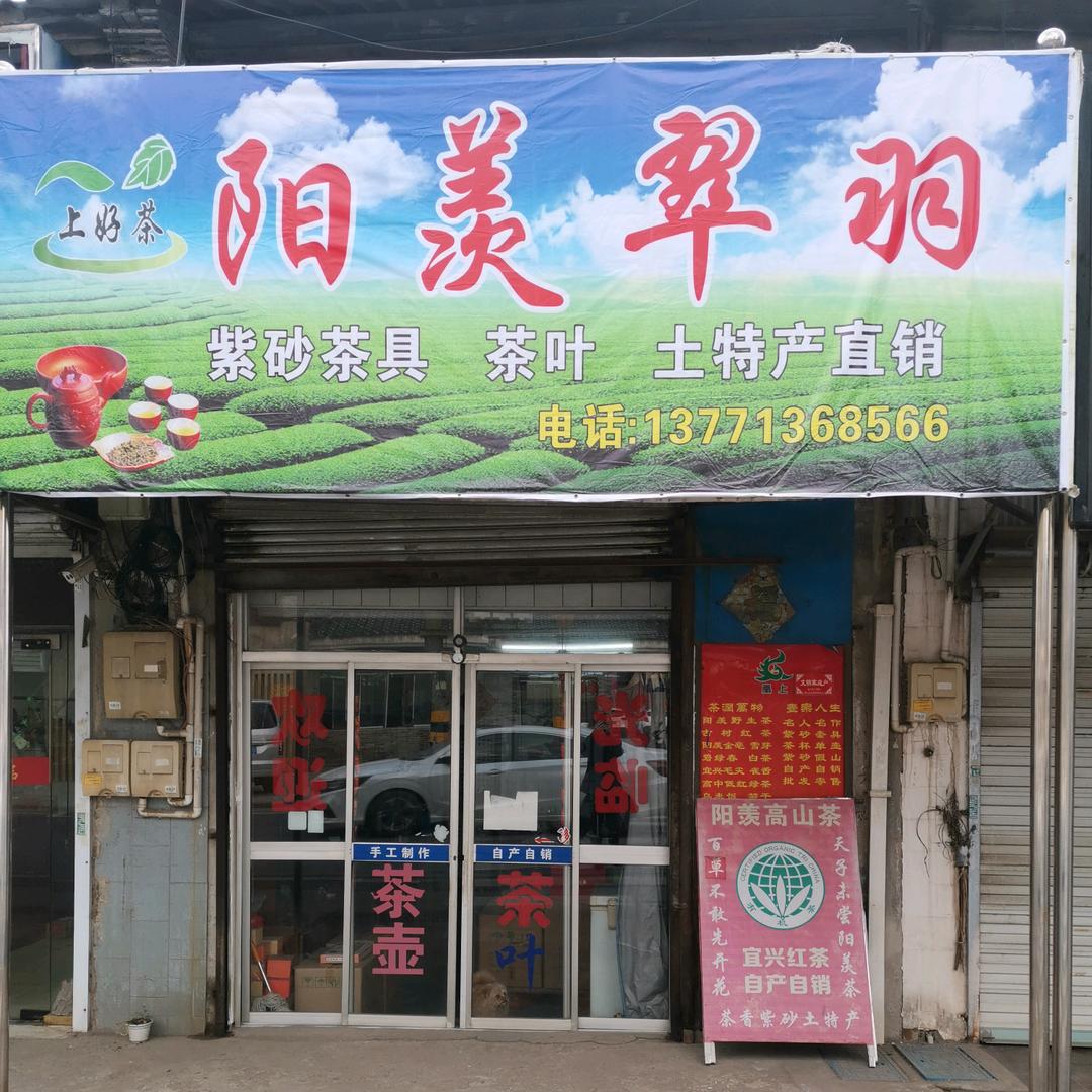宜兴茶人温凡树